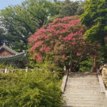 Temple geumsansa